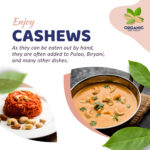 cashew | organic dry fruit