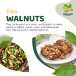 Organic dry fruit | premium dry fruit | best organic almonds | online dry fruits in india