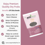 chia seeds of nutrition, boasting fiber, protein, and omega-3 fatty acids