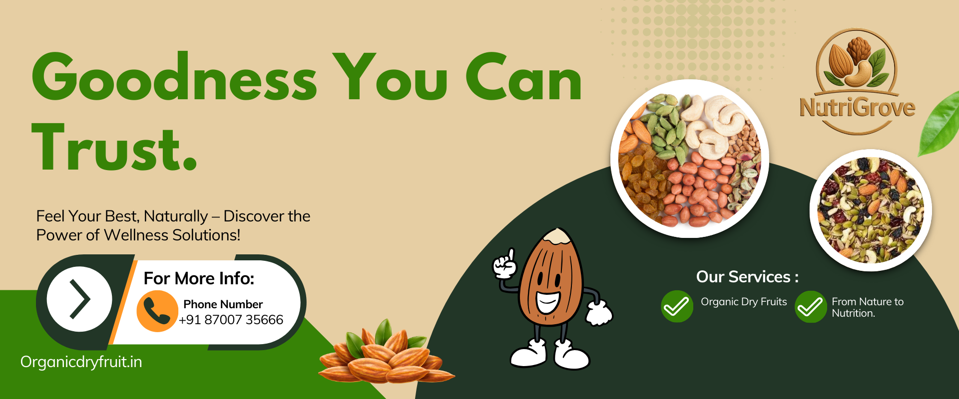 Premium & Healthy Dry Fruits